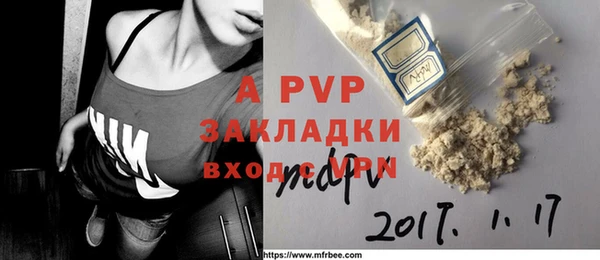 ГАЛЛЮЦИНОГЕННЫЕ ГРИБЫ Магас