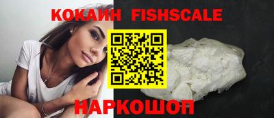 индика Пенза