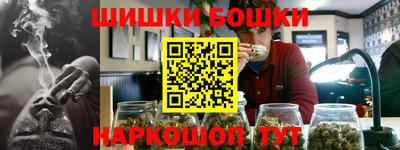 индика Пенза