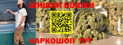 индика Пенза