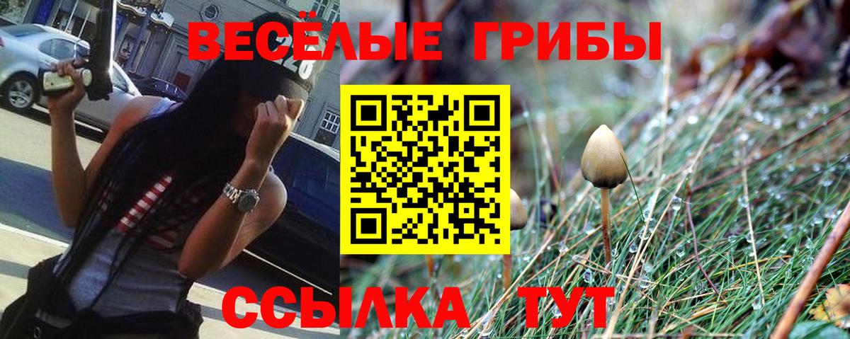 Лиски  Псилоцибиновые грибы мицелий  Вход с VPN 